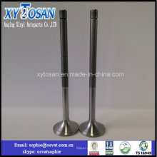 Wholesale High Quality Factory Price Engine Valves for Weichai 250